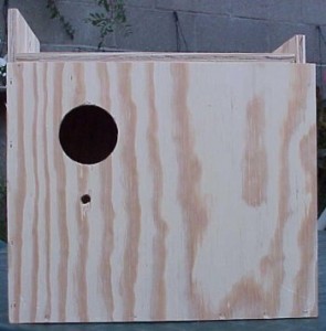 lovebird nestbox