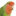 www.parrotparrot.com